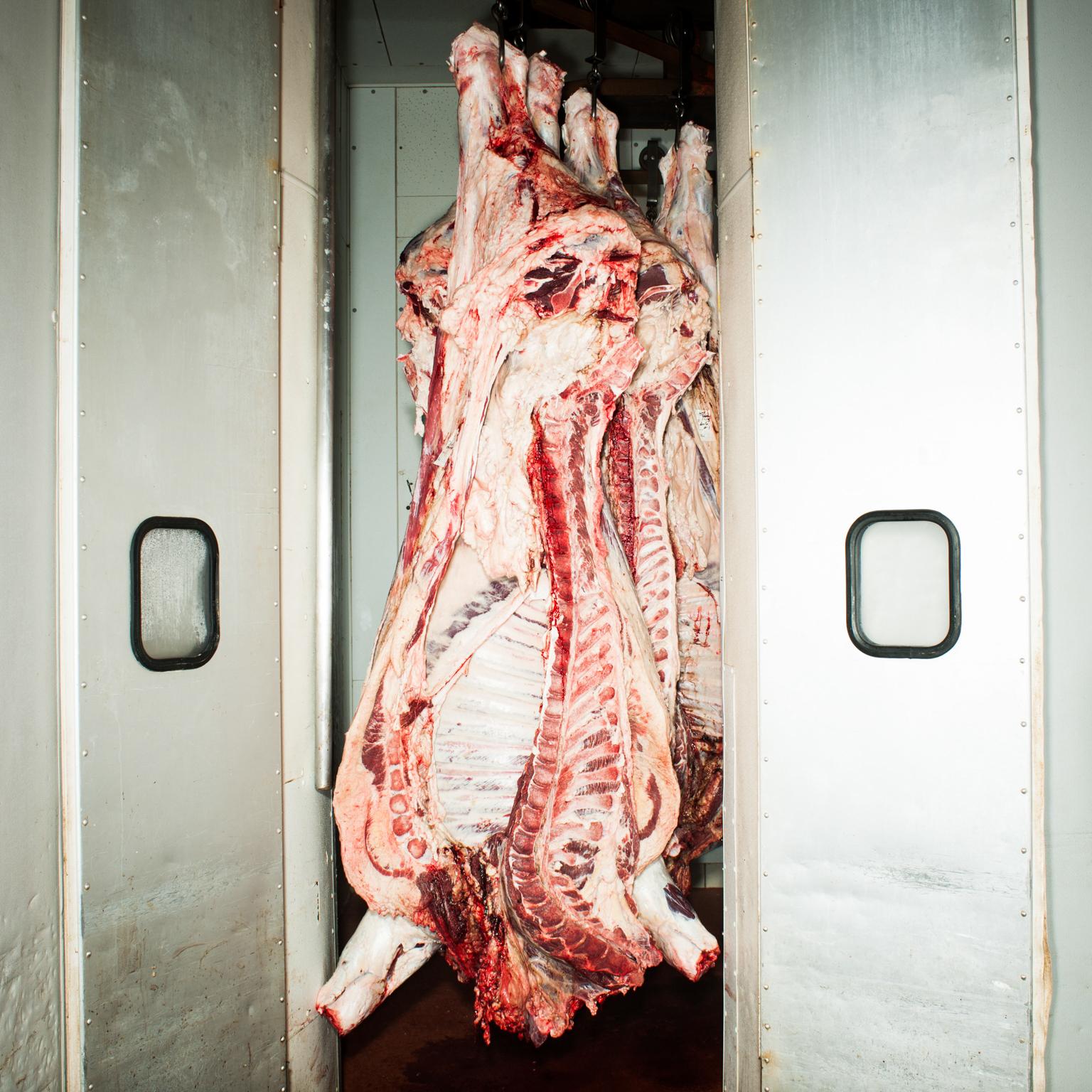 Brian Finke Color Photograph - Untitled (Meat no. 15), photograph 