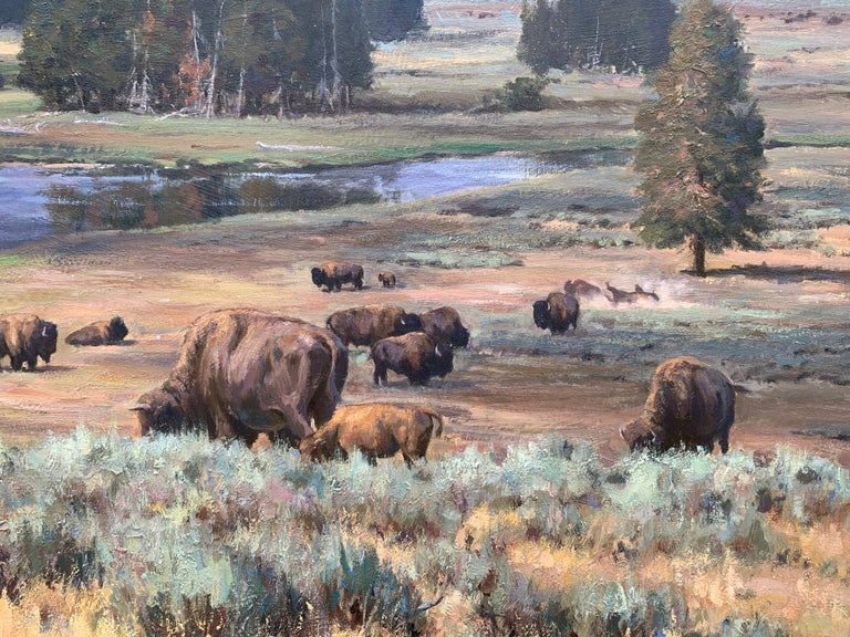 In this traditional western landscape of Yellowstone park has buffalo grazing through the shrubbery that is beginning to turn yellow. The geese are flying south as the seasons begin to change Autumn and the mountains are tall reaching up to the