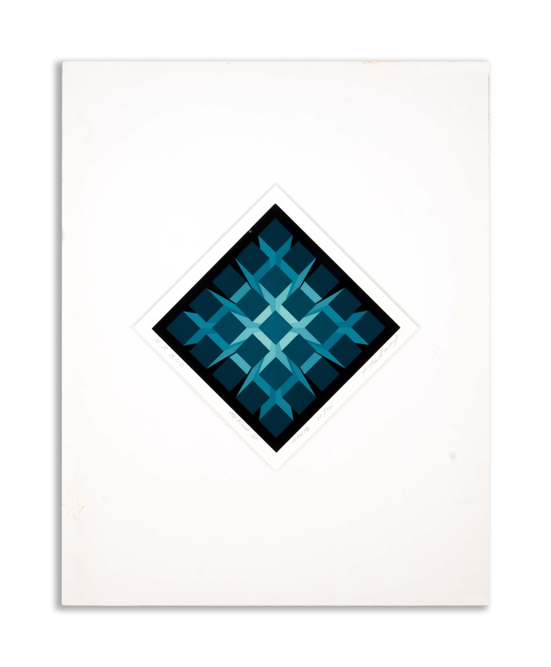 Brian Halsey Alpha V Serigraphie AP 3/12 State II/IV Signiert ungerahmt (Moderne) im Angebot