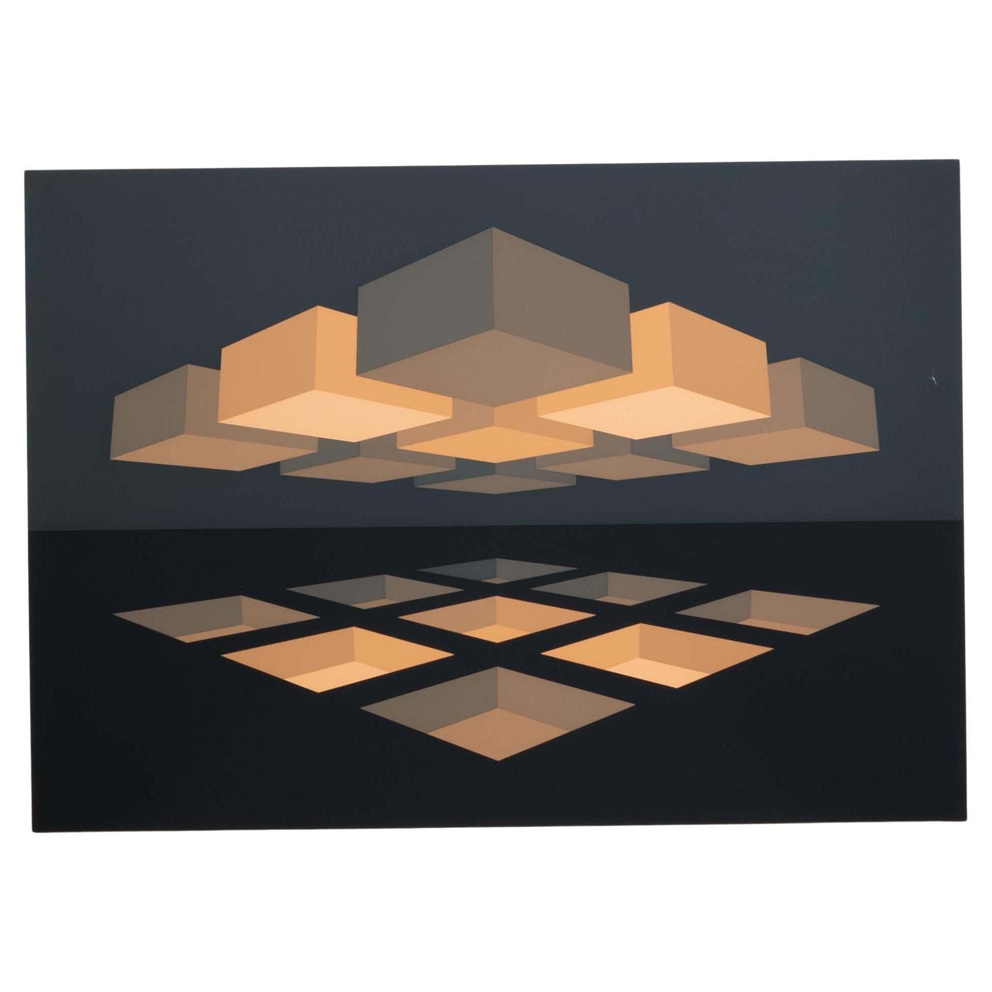 Brian Halsey Apothosis Serigrafia 4/75 Stato 1/11 Firmata Senza cornice