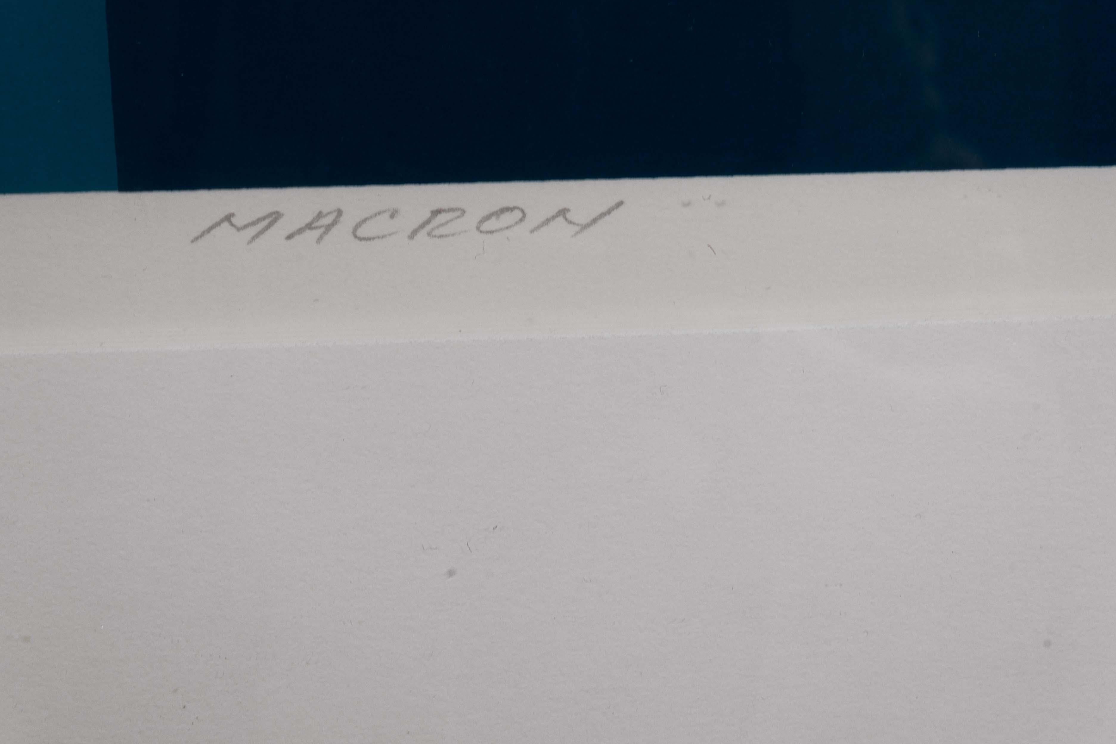 Brian Halsey Macron Serigraphie 4/75 Staat I/II Signiert & gerahmt im Angebot 3