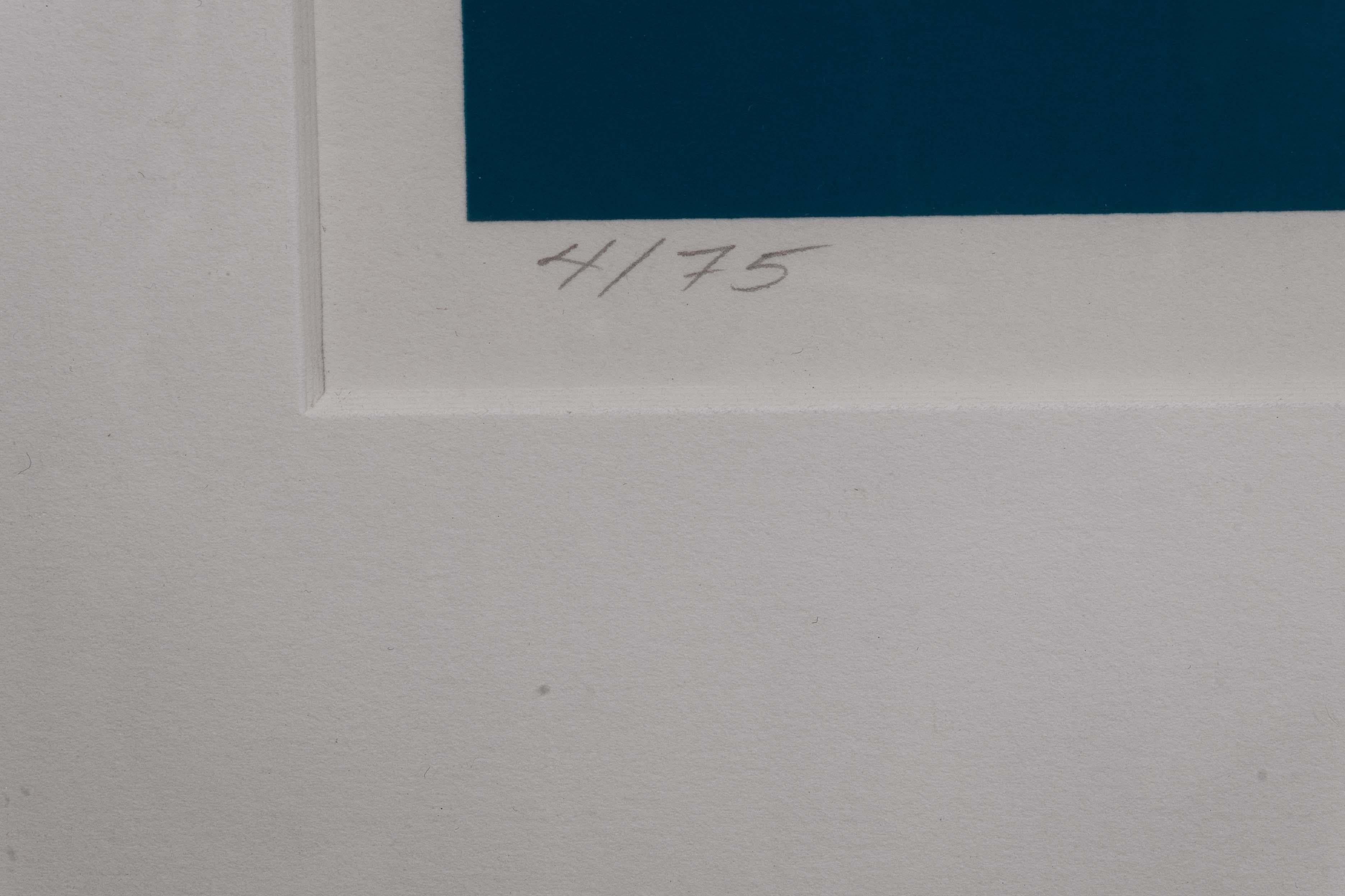 Brian Halsey Macron Serigraphie 4/75 Staat I/II Signiert & gerahmt im Angebot 2