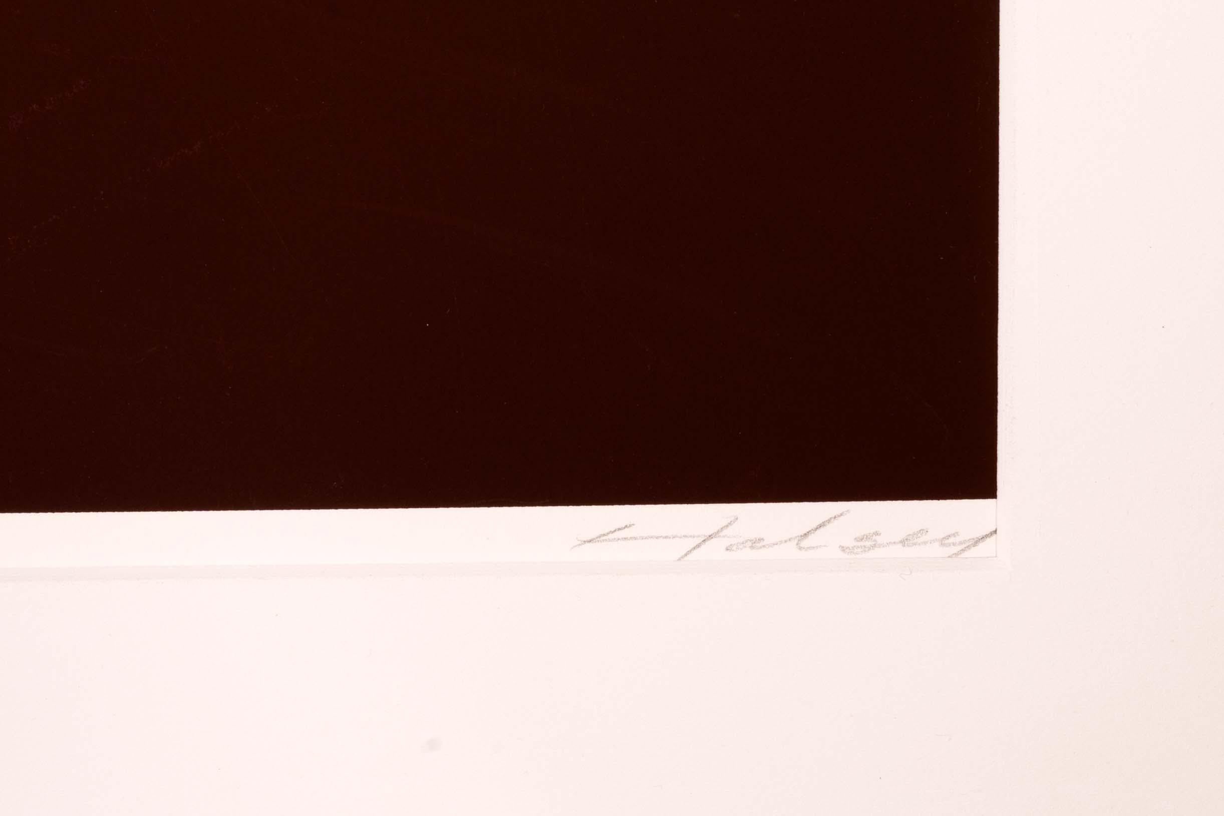 Brian Halsey Matrix Serigraphie 4/75 State 1/11 Signiert ungerahmt im Angebot 6