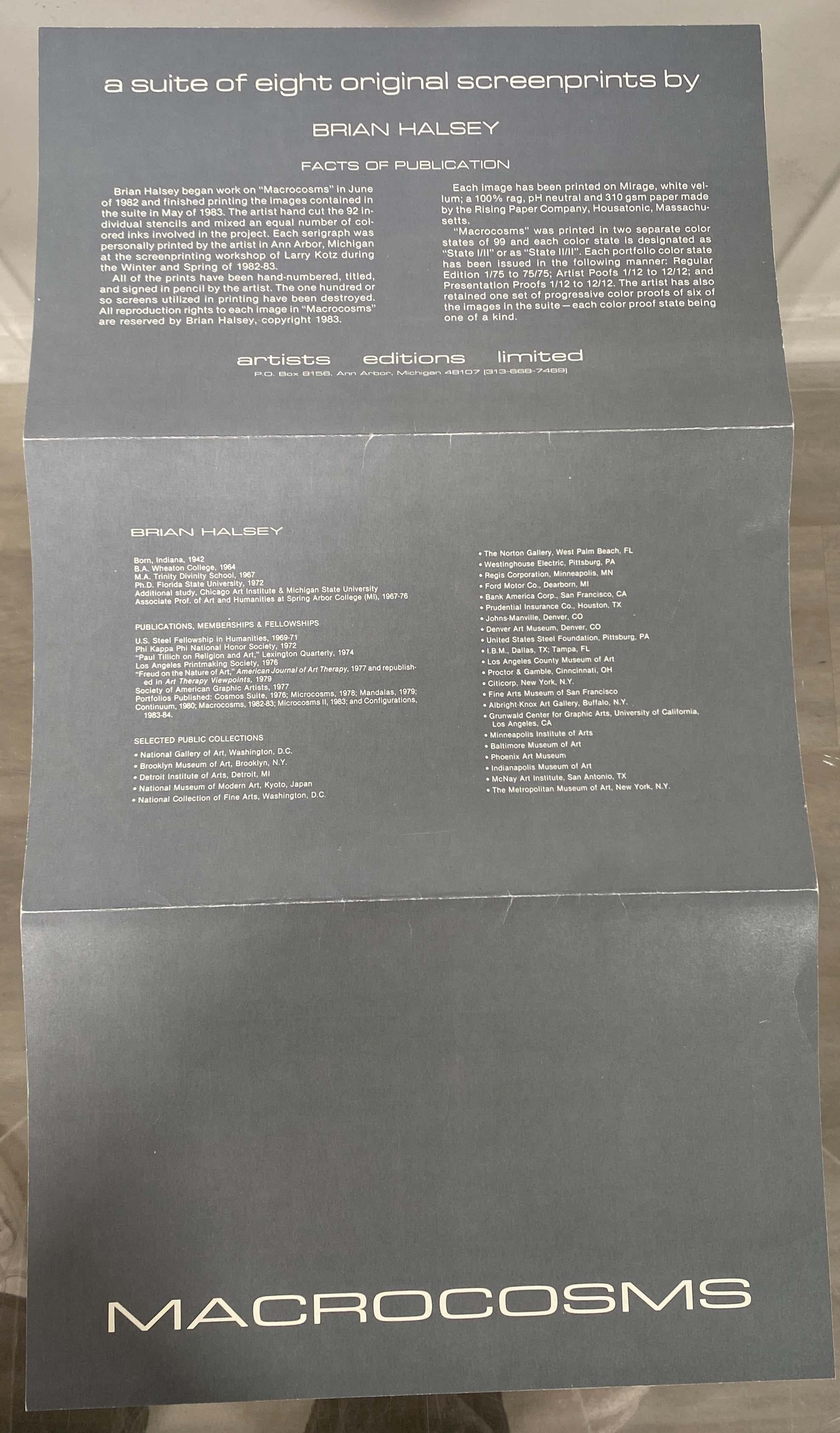 Brian Halsey Triune Serigrafia 4/75 Stato 1/11 Firmato e Incorniciato in vendita 8