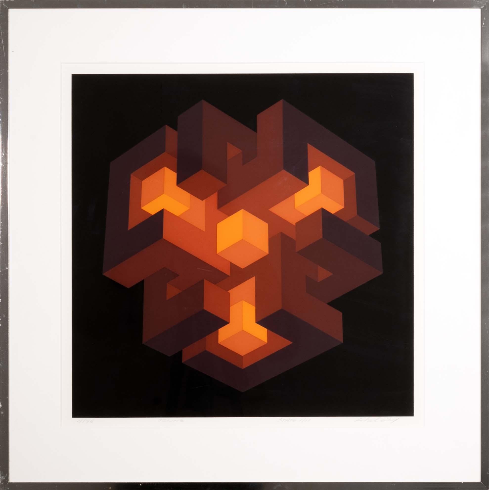 Una serigrafia moderna su carta dal titolo 