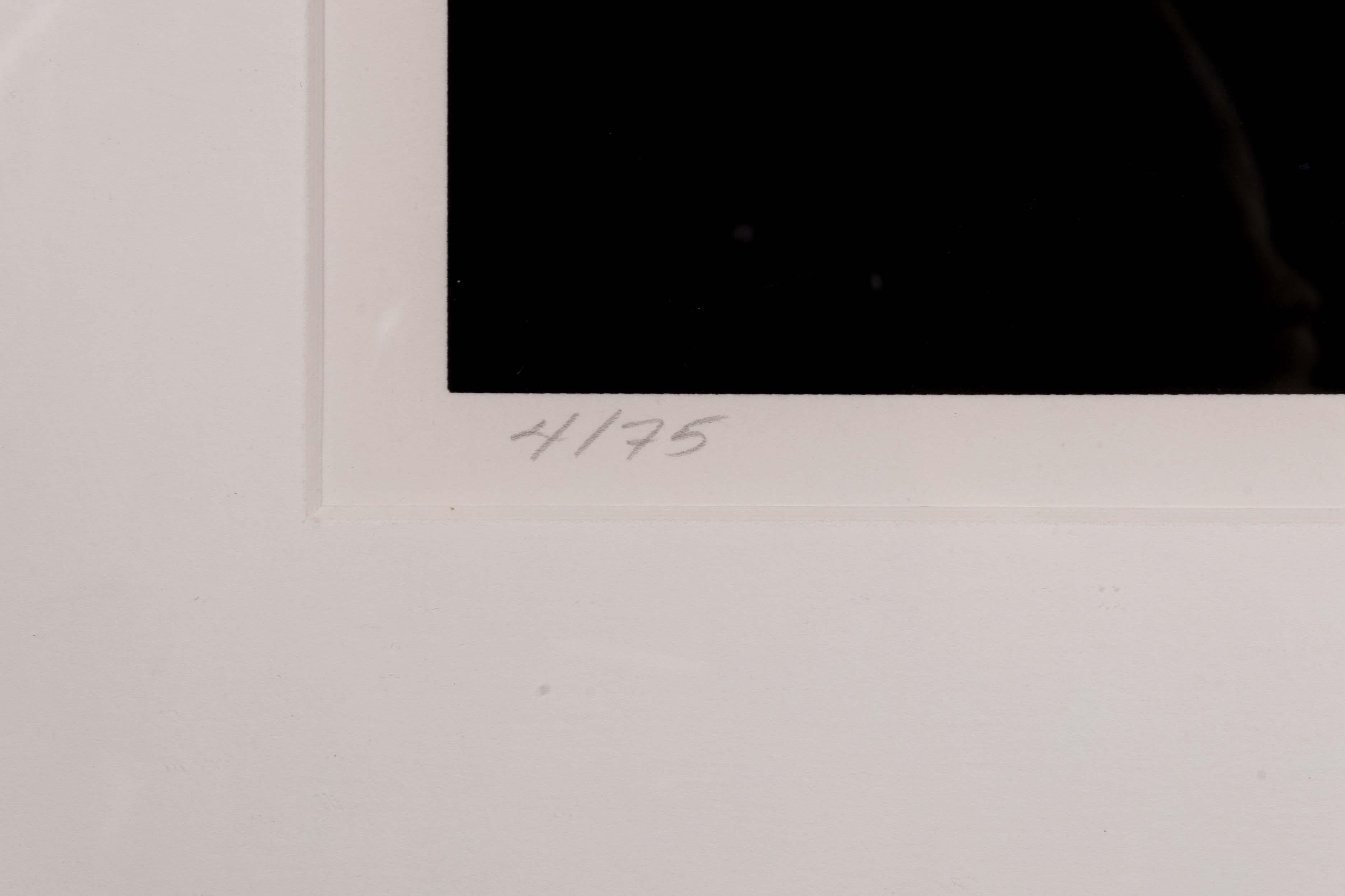 Carta Brian Halsey Triune Serigrafia 4/75 Stato 1/11 Firmato e Incorniciato in vendita