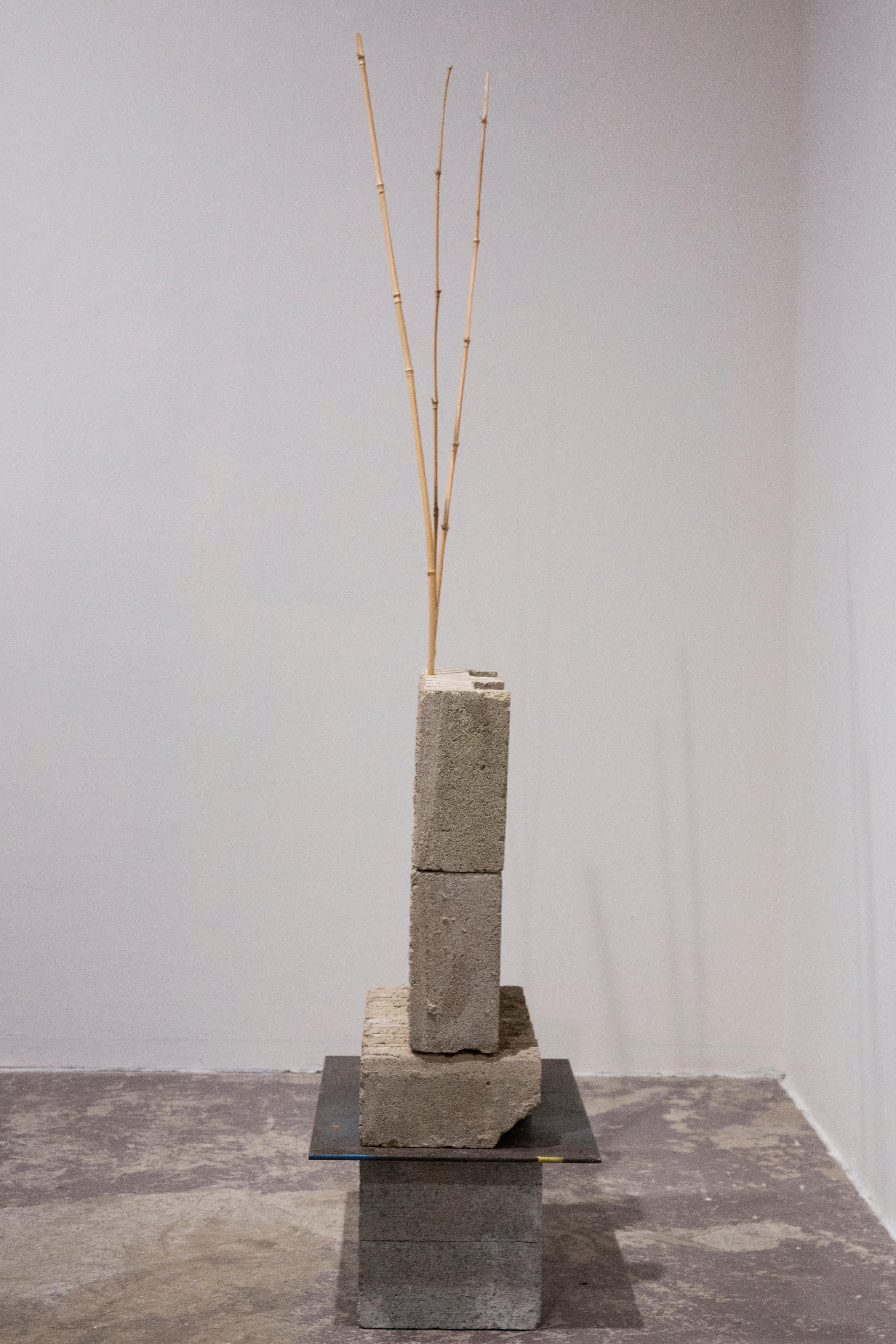 ON THE HUSTINGS (RISE) - Sculpture industrielle en béton avec bambou en vente 5