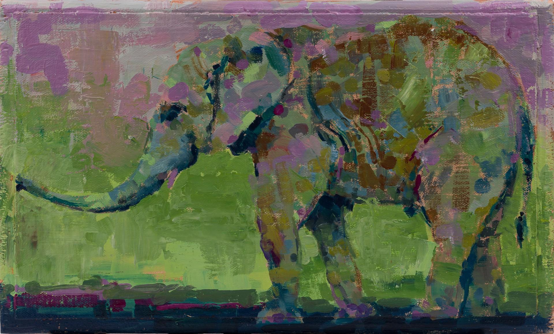 "Baci di farfalla per te #5" - Pittura animale olio su lino 2018