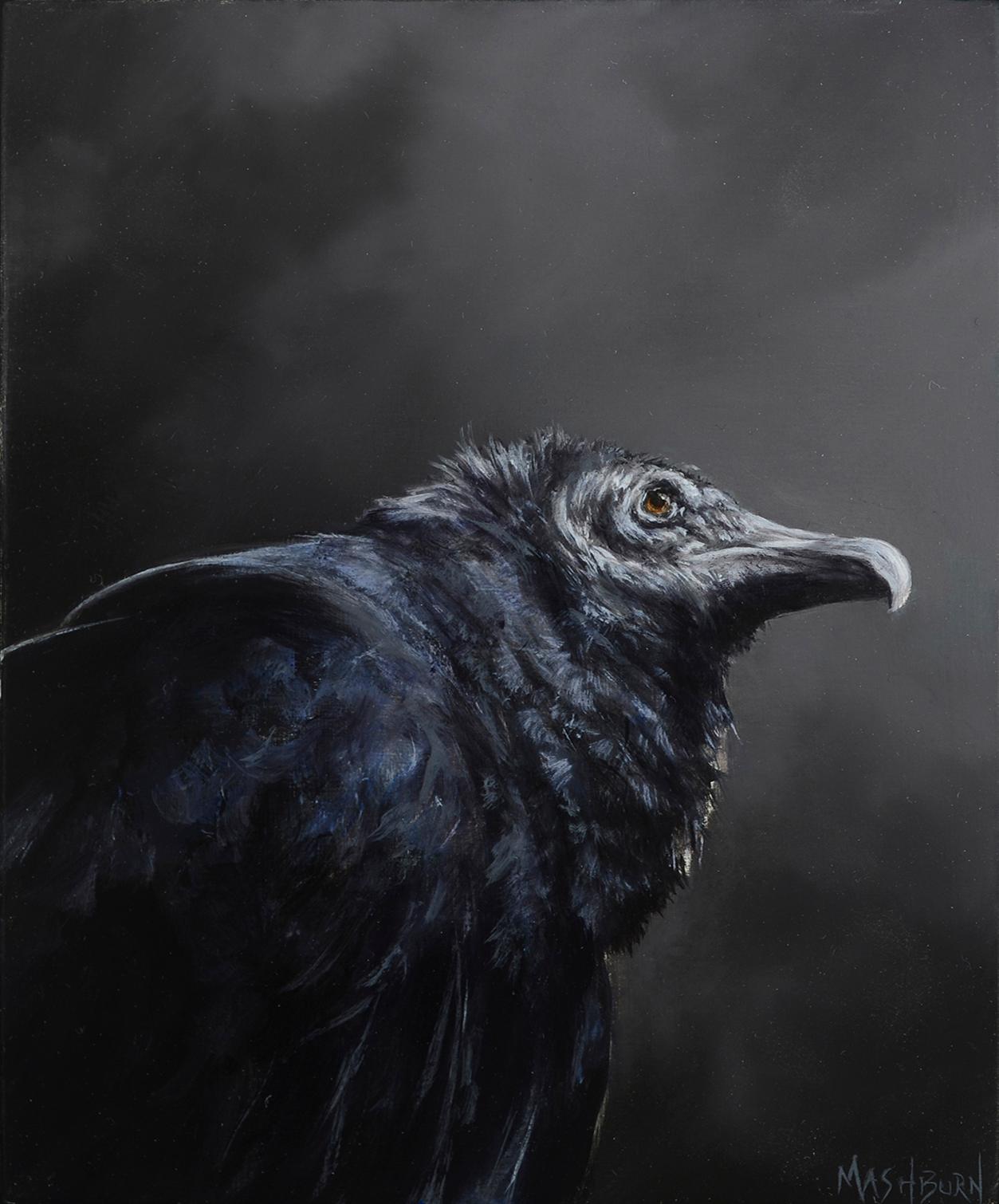 Brian Mashburn Animal Painting - "Black Vulture" Original oil painting