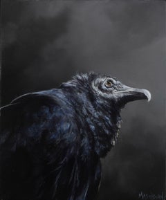 "Black Vulture" Original oil painting
