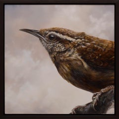 Carolina Wren 1