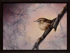 Carolina Wren 2