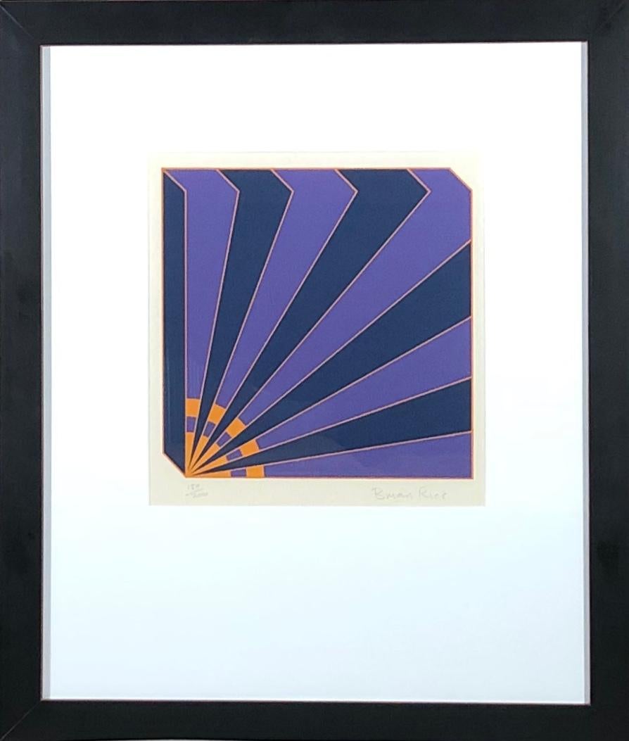 L'illusion géométrique : impression de paysage abstrait encadrée en violet et bleu - Violet Abstract Print par Brian Rice