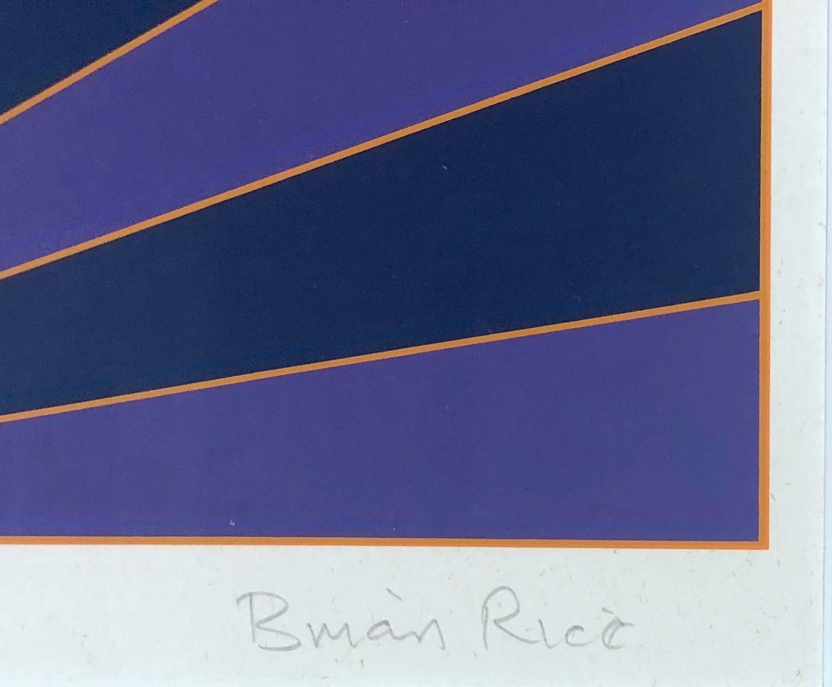 Geometric Illusion: framed abstract sunburst landscape print in purple & blue - Print by Brian Rice