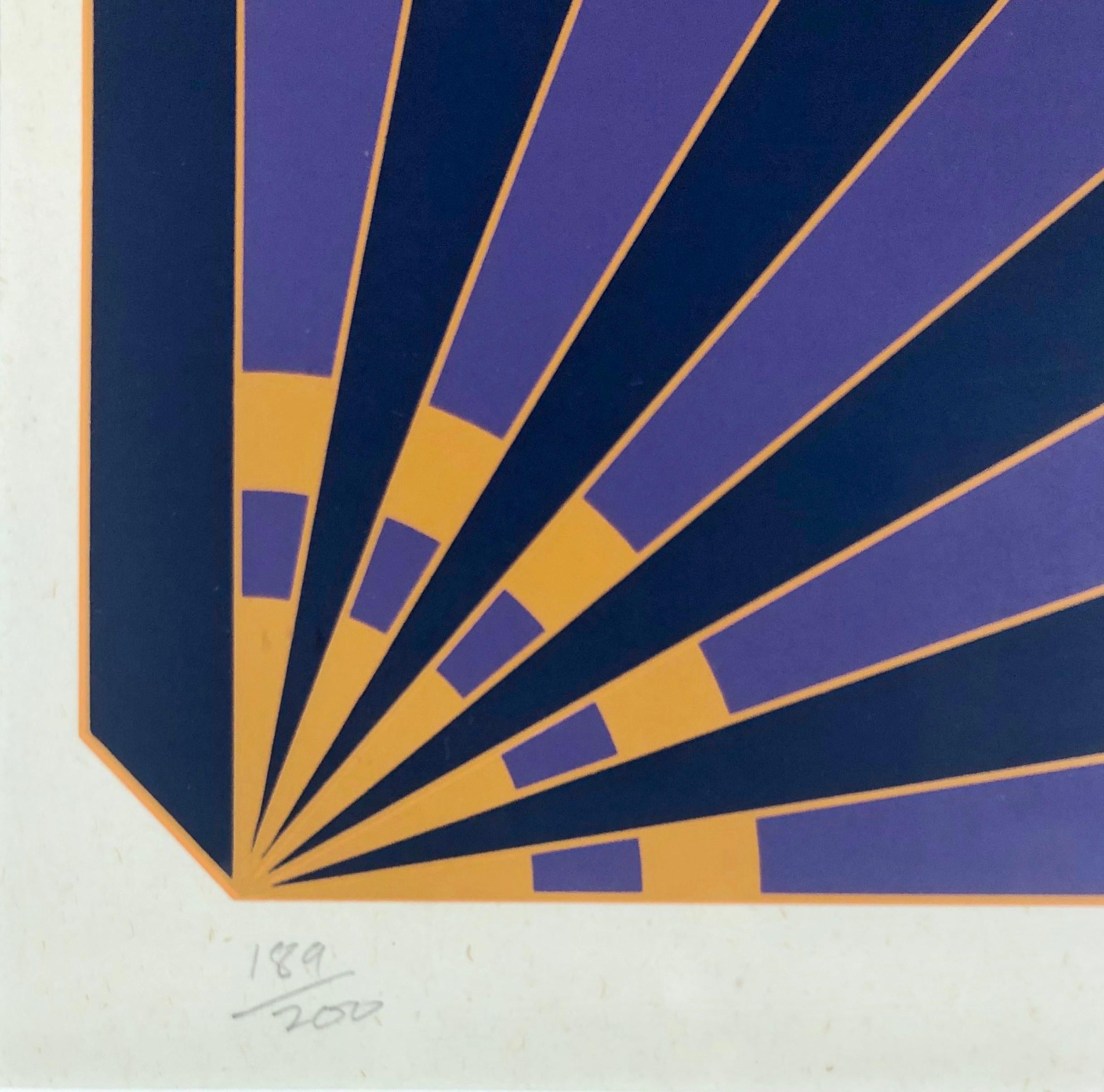 L'illusion géométrique : impression de paysage abstrait encadrée en violet et bleu - Abstrait Print par Brian Rice
