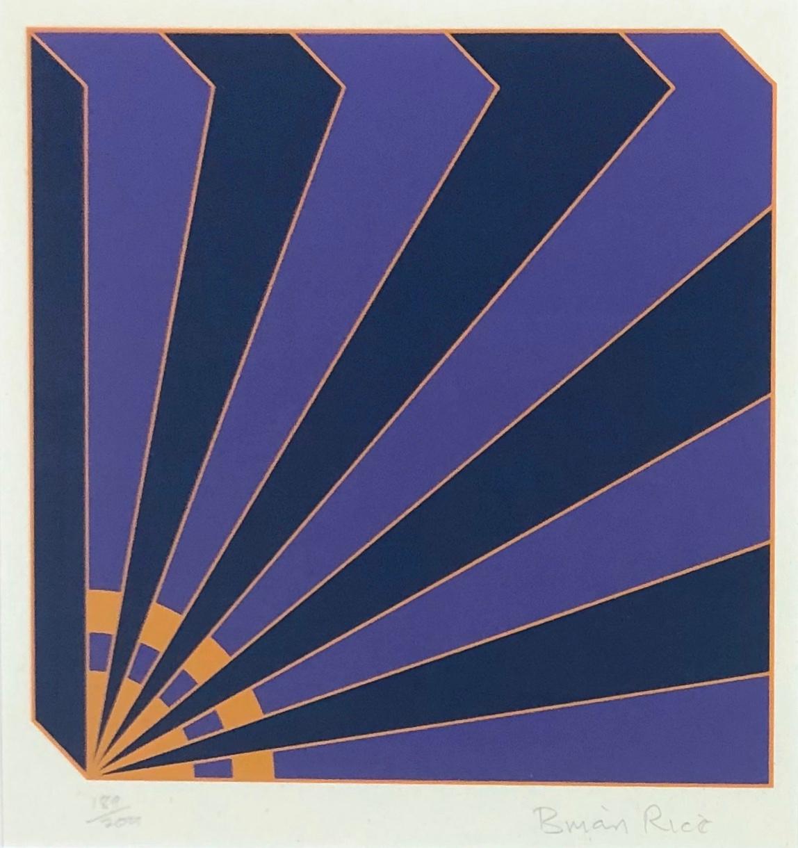 Brian Rice Abstract Print - Geometric Illusion: framed abstract sunburst landscape print in purple & blue