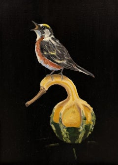 Brian Summers "Curruca castaña" Pájaro sentado sobre calabaza Fondo negro
