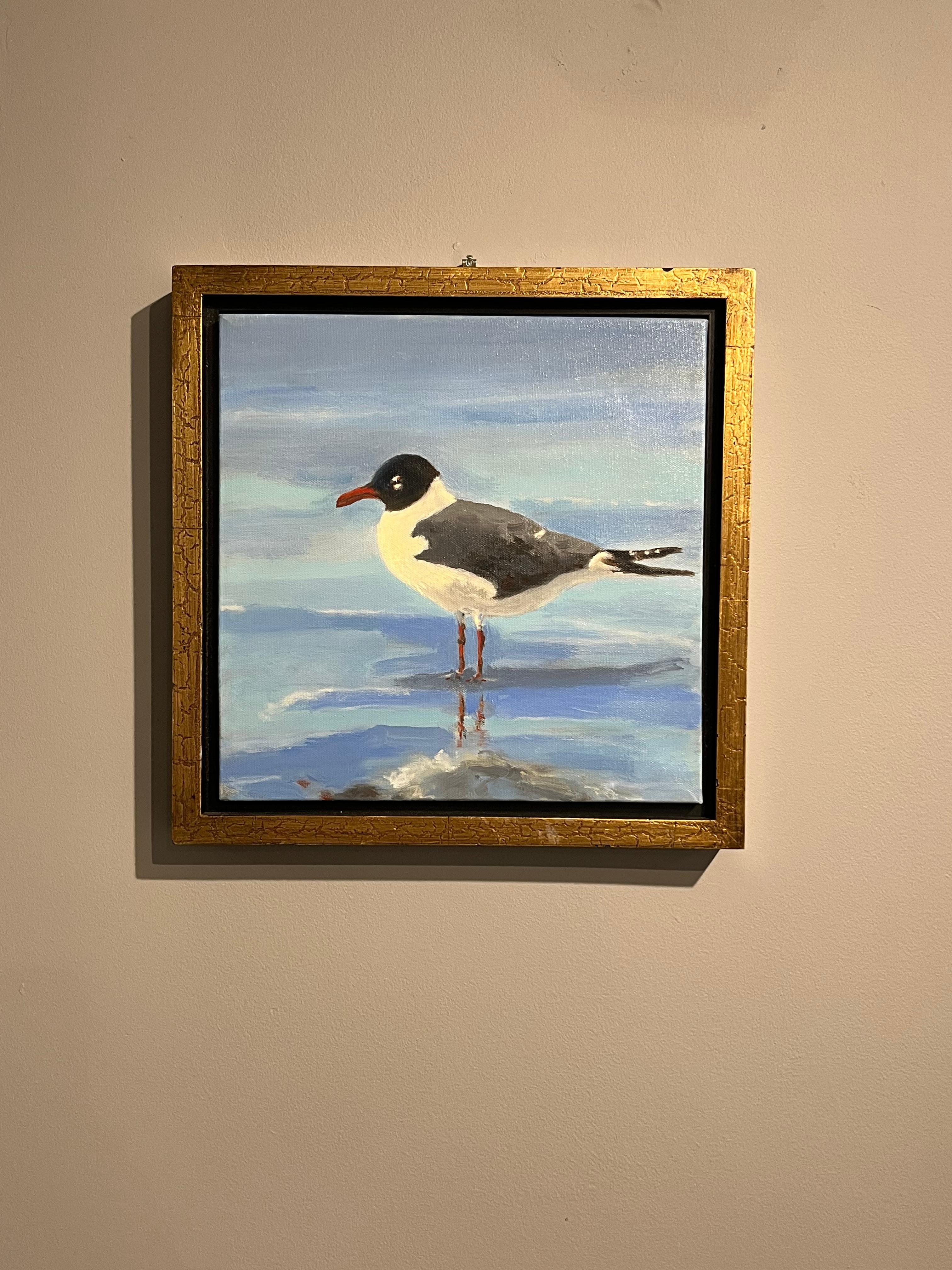 Brian Summers „Laughing Gull“ Seagull Beach Water 12x12 Gemälde auf Leinwand im Angebot 1