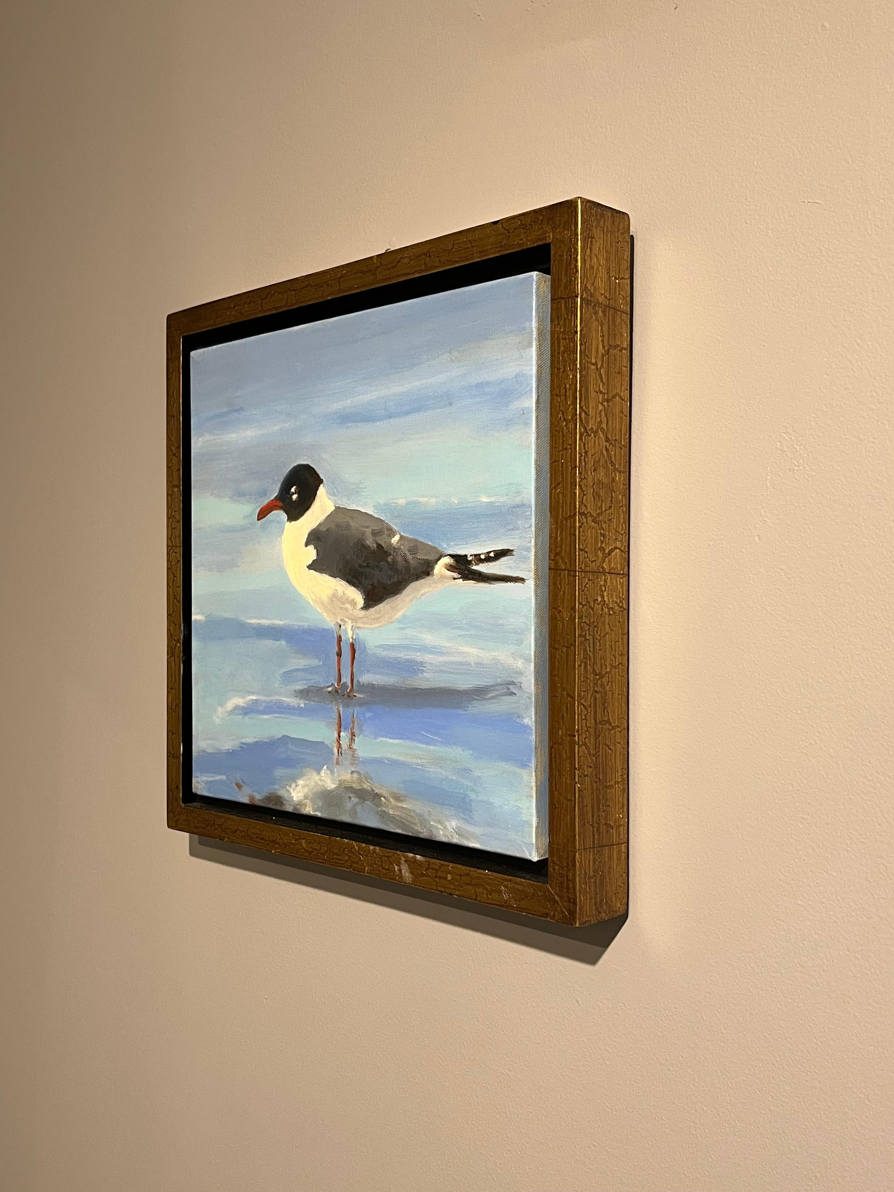 Brian Summers „Laughing Gull“ Seagull Beach Water 12x12 Gemälde auf Leinwand im Angebot 2