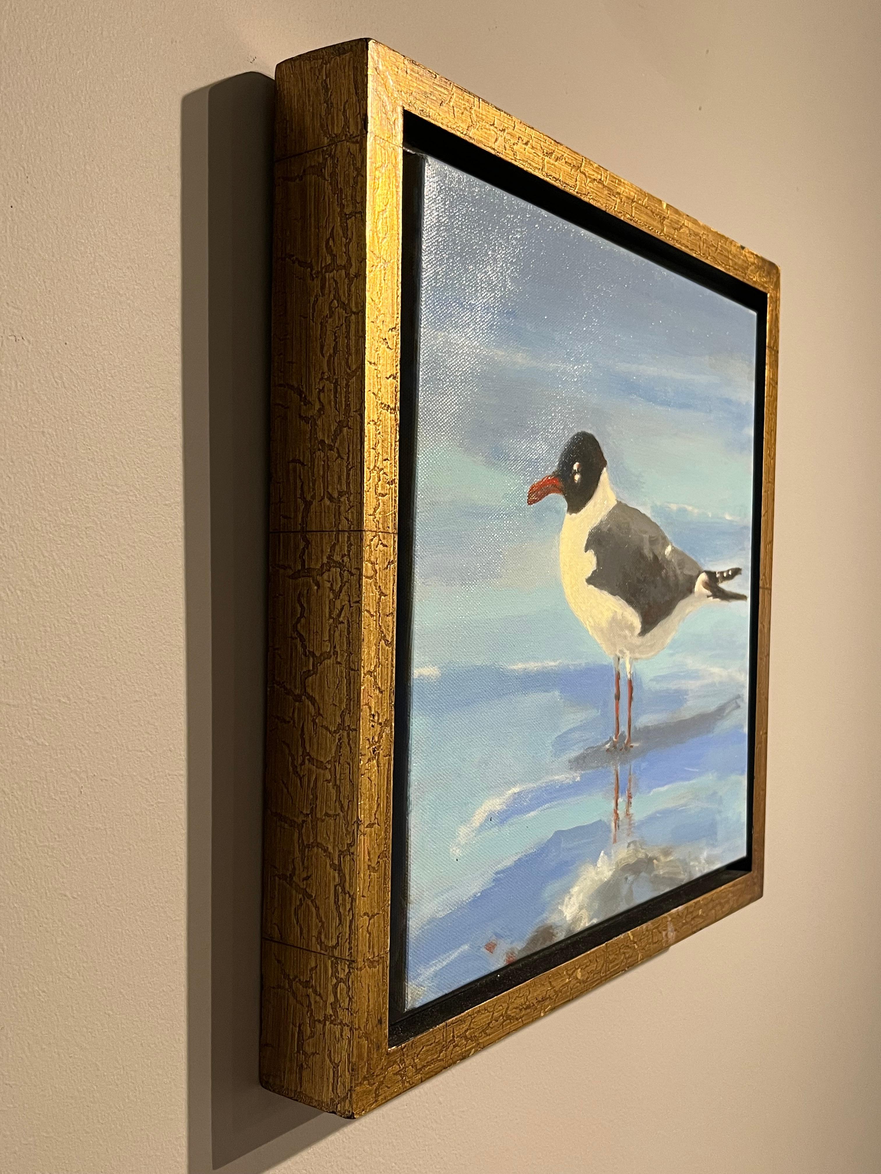 Brian Summers „Laughing Gull“ Seagull Beach Water 12x12 Gemälde auf Leinwand im Angebot 3