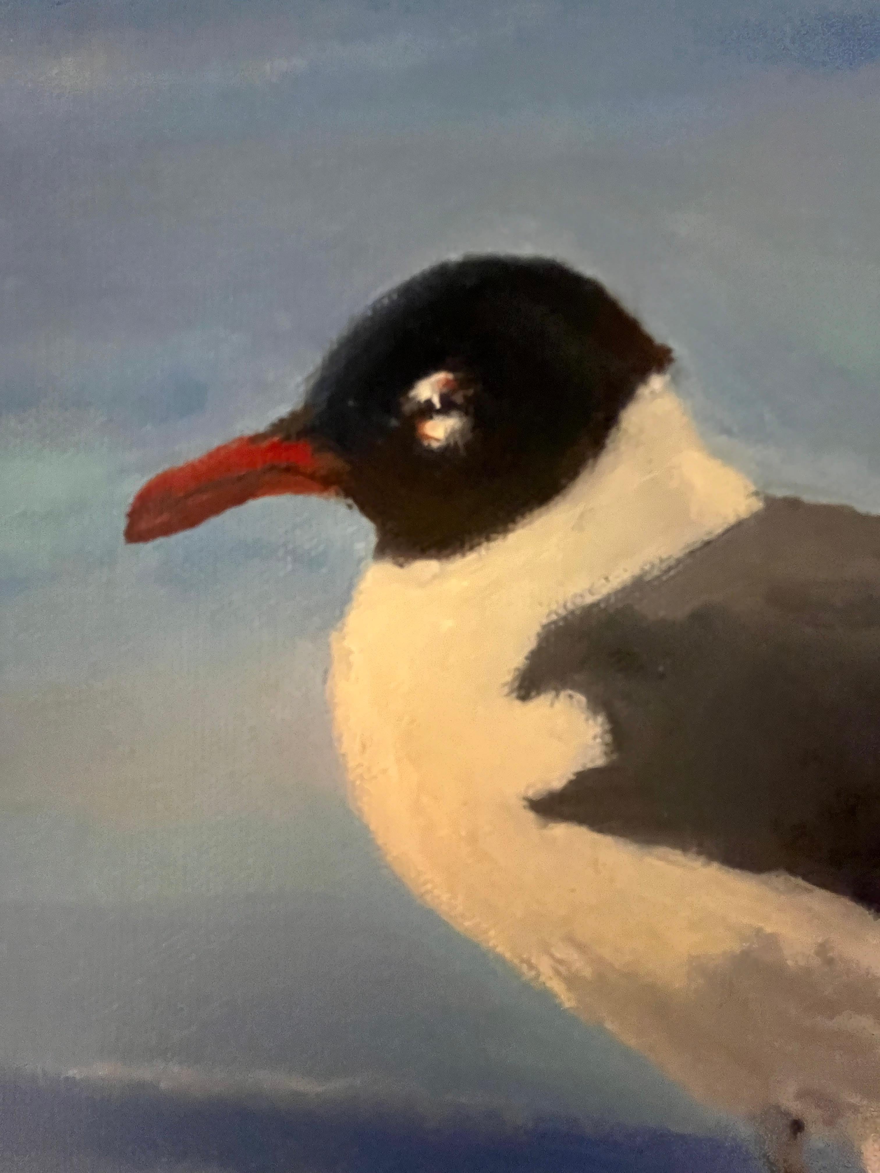 Brian Summers „Laughing Gull“ Seagull Beach Water 12x12 Gemälde auf Leinwand im Angebot 4