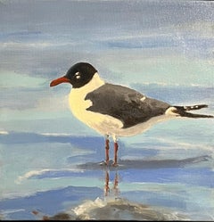 Brian Summers "Gabbiano ridente" Gabbiano spiaggia acqua 12x12 Quadro su tela