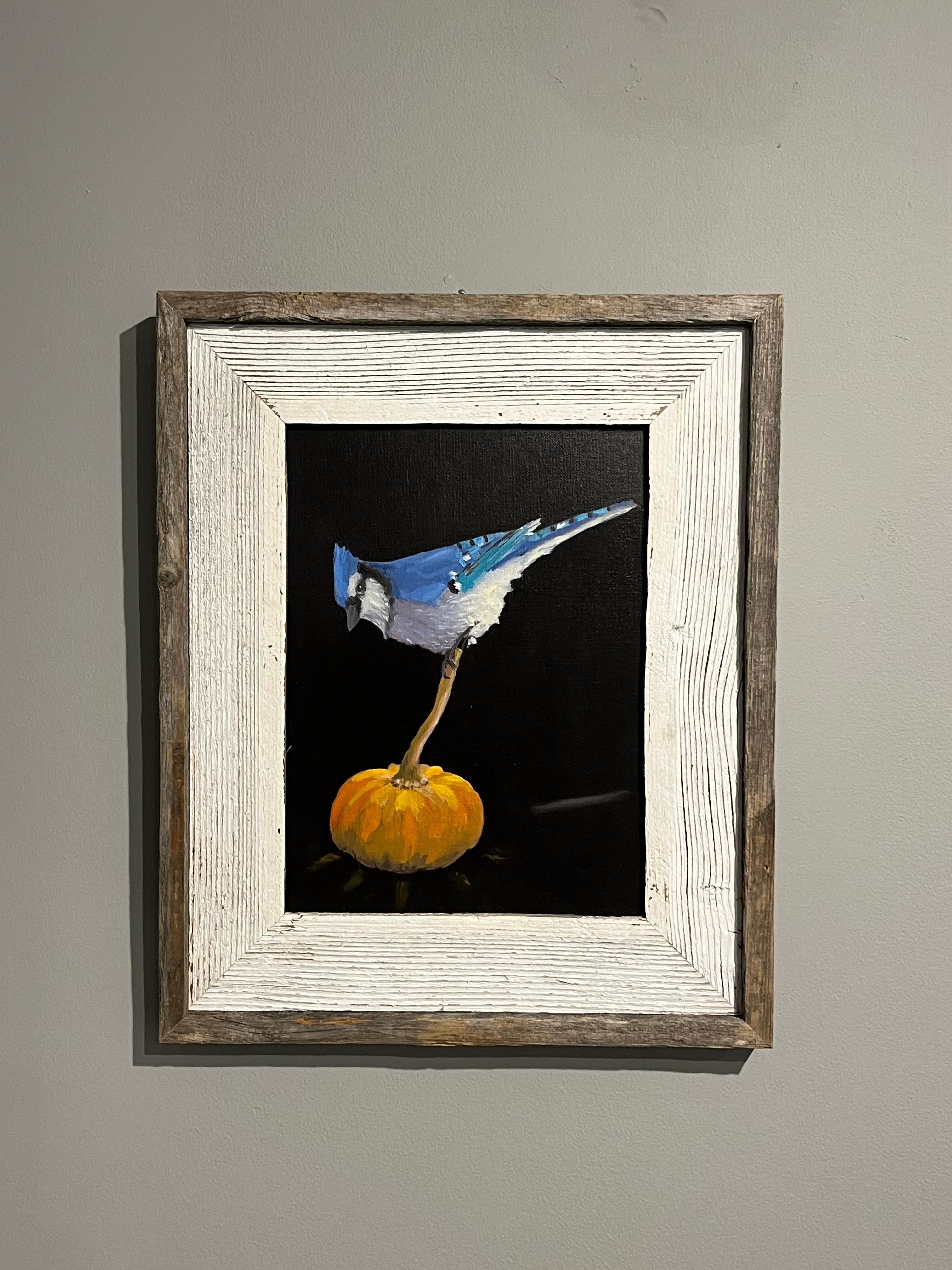 Brian Summers „October Jay“ Blauer Jay-Vogel auf Pumpkin-Schwarzem Hintergrund im Angebot 1