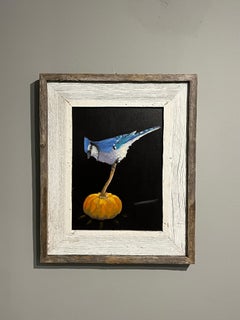 Brian Summers "October Jay" Blue Jay Bird Sitting on Pumpkin Black Background