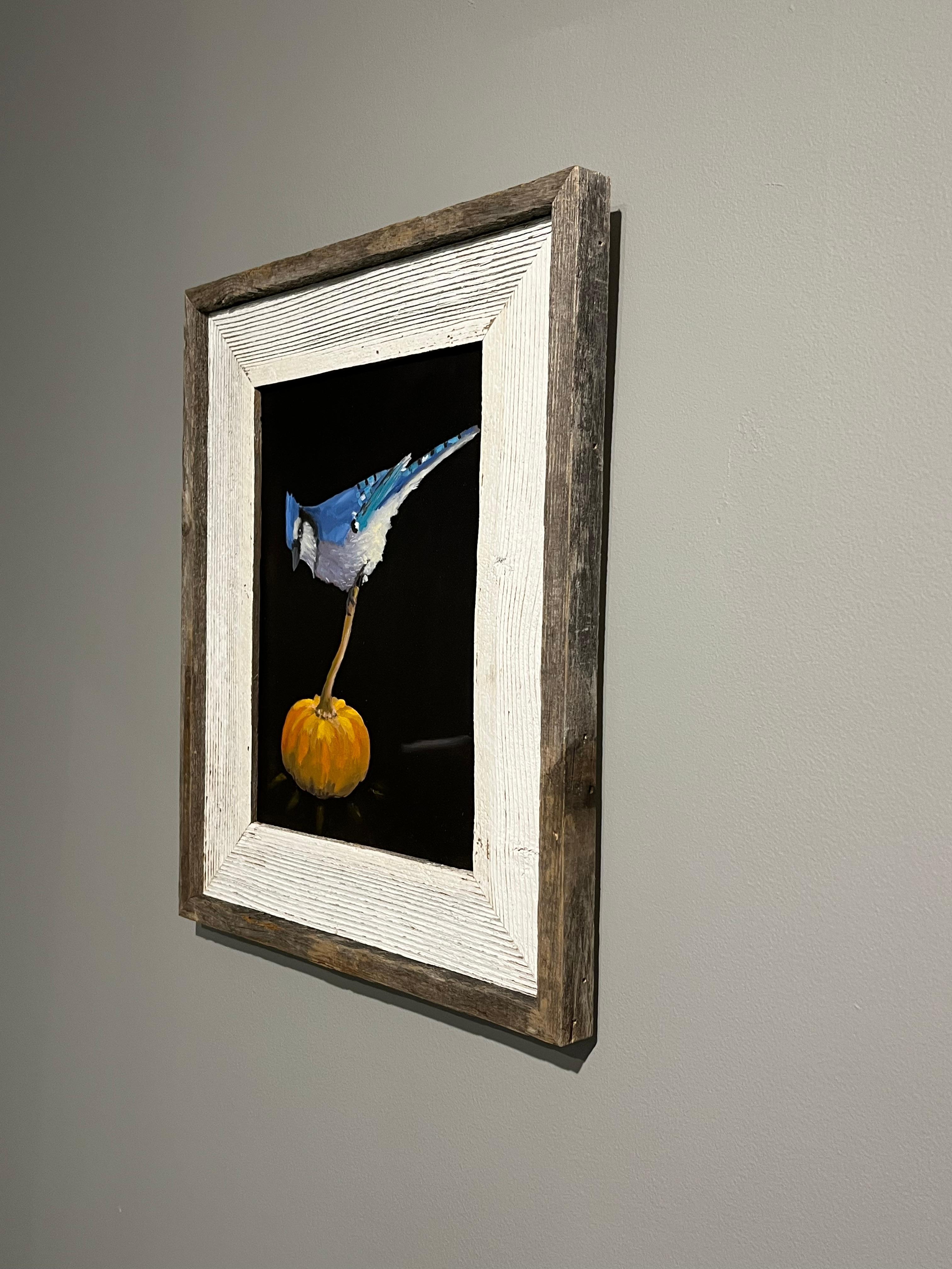 Brian Summers „October Jay“ Blauer Jay-Vogel auf Pumpkin-Schwarzem Hintergrund im Angebot 2