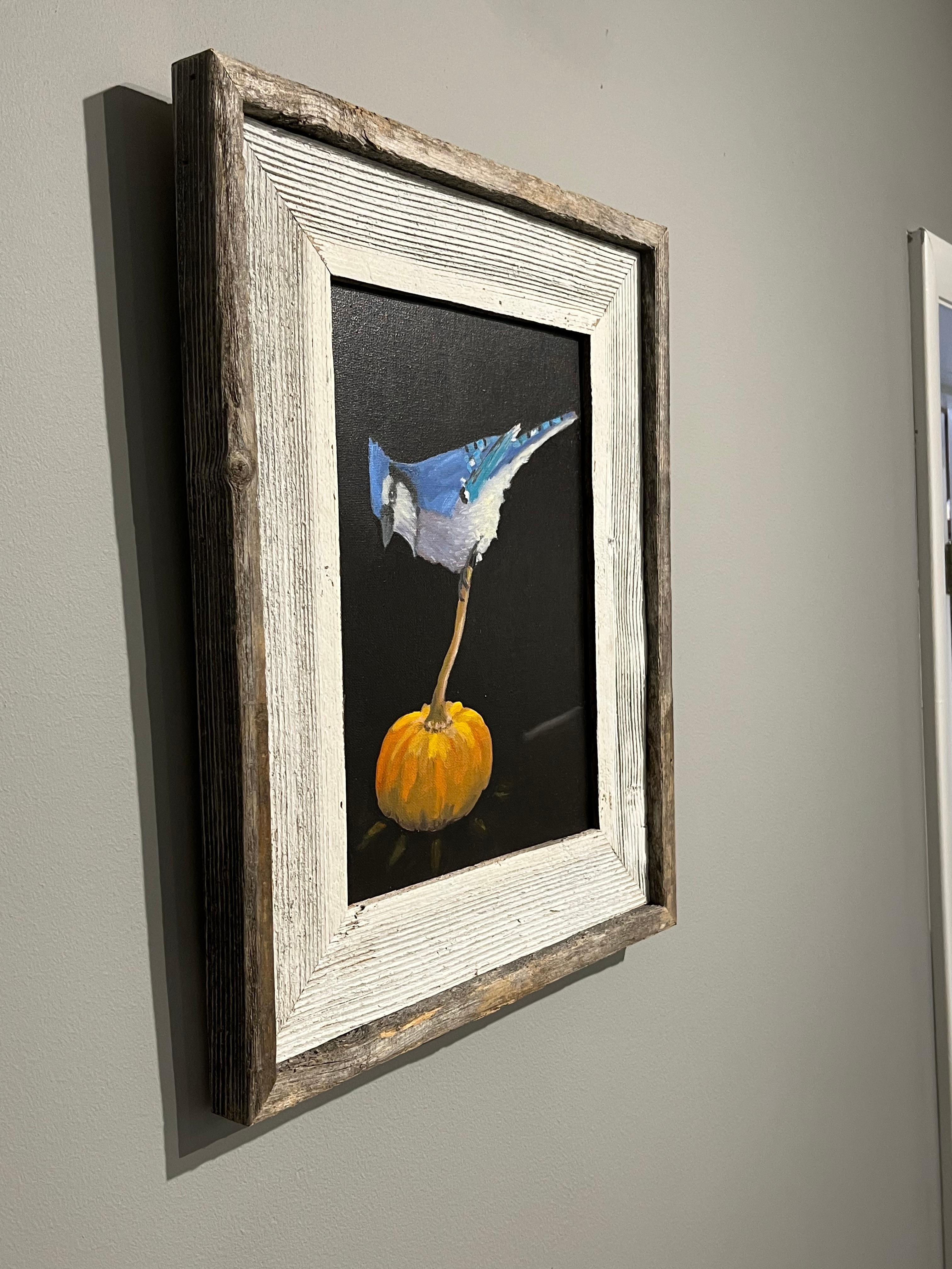 Brian Summers „October Jay“ Blauer Jay-Vogel auf Pumpkin-Schwarzem Hintergrund im Angebot 3