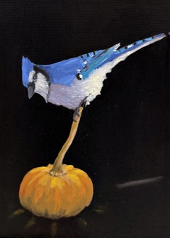 Brian Summers "October Jay" Blue Jay Bird Sitting on Pumpkin Black Background