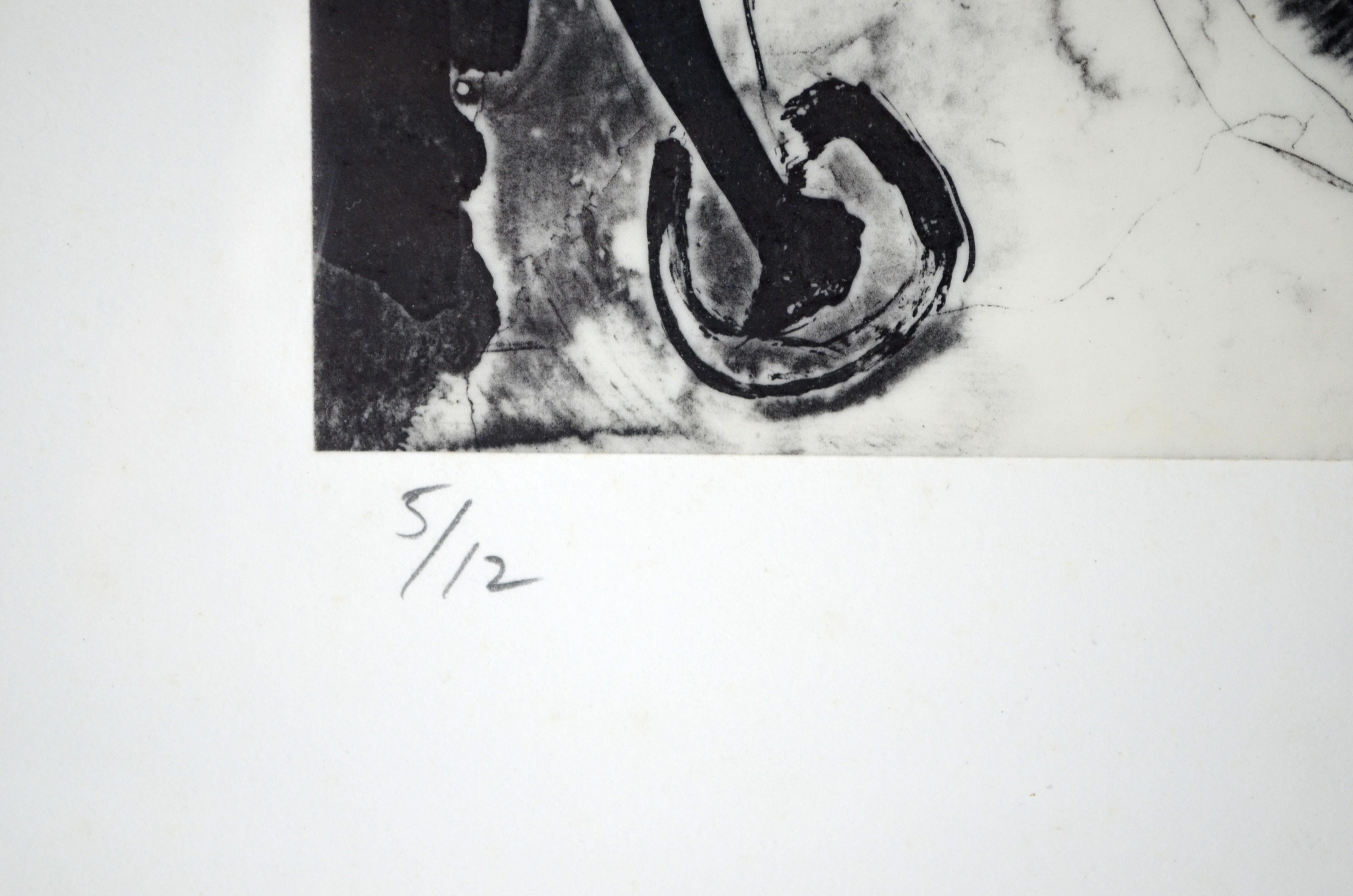 American Brian Wood (1948) - Ink and photograph on mylar titled 