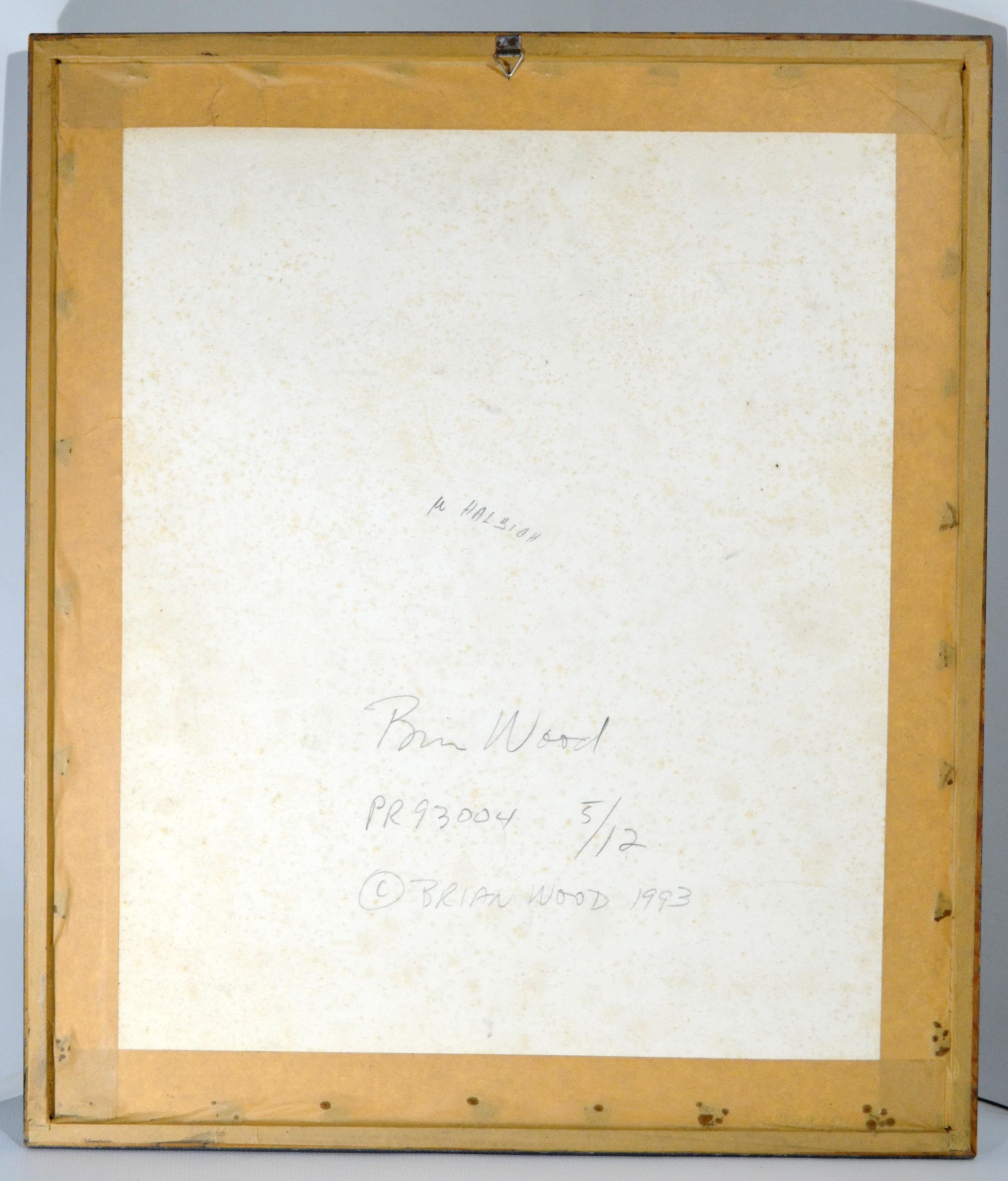 Mylar Brian Wood (1948) - Ink and photograph on mylar titled 