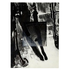 Brian Wood (1948) - Ink and photograph on mylar titled "Halbich" dated 1993