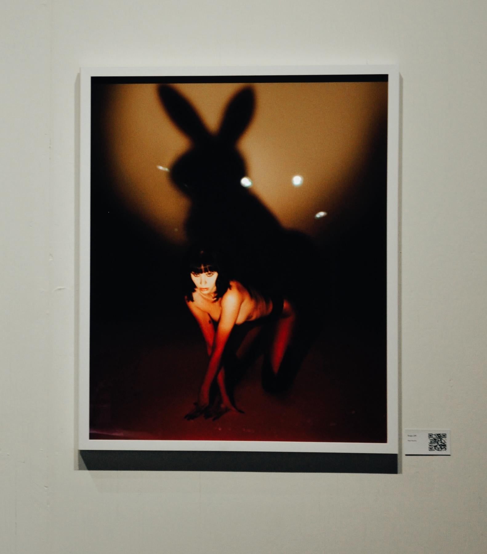 “Bad Bunny” (FRAMED) Photography 30