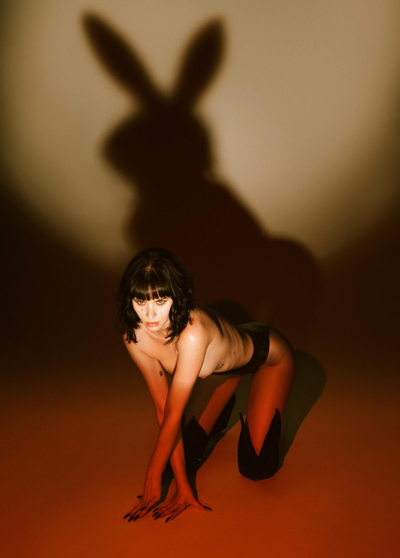 “Bad Bunny” Photography 36" x 28" inch Edition of 24 by Brian Ziff 