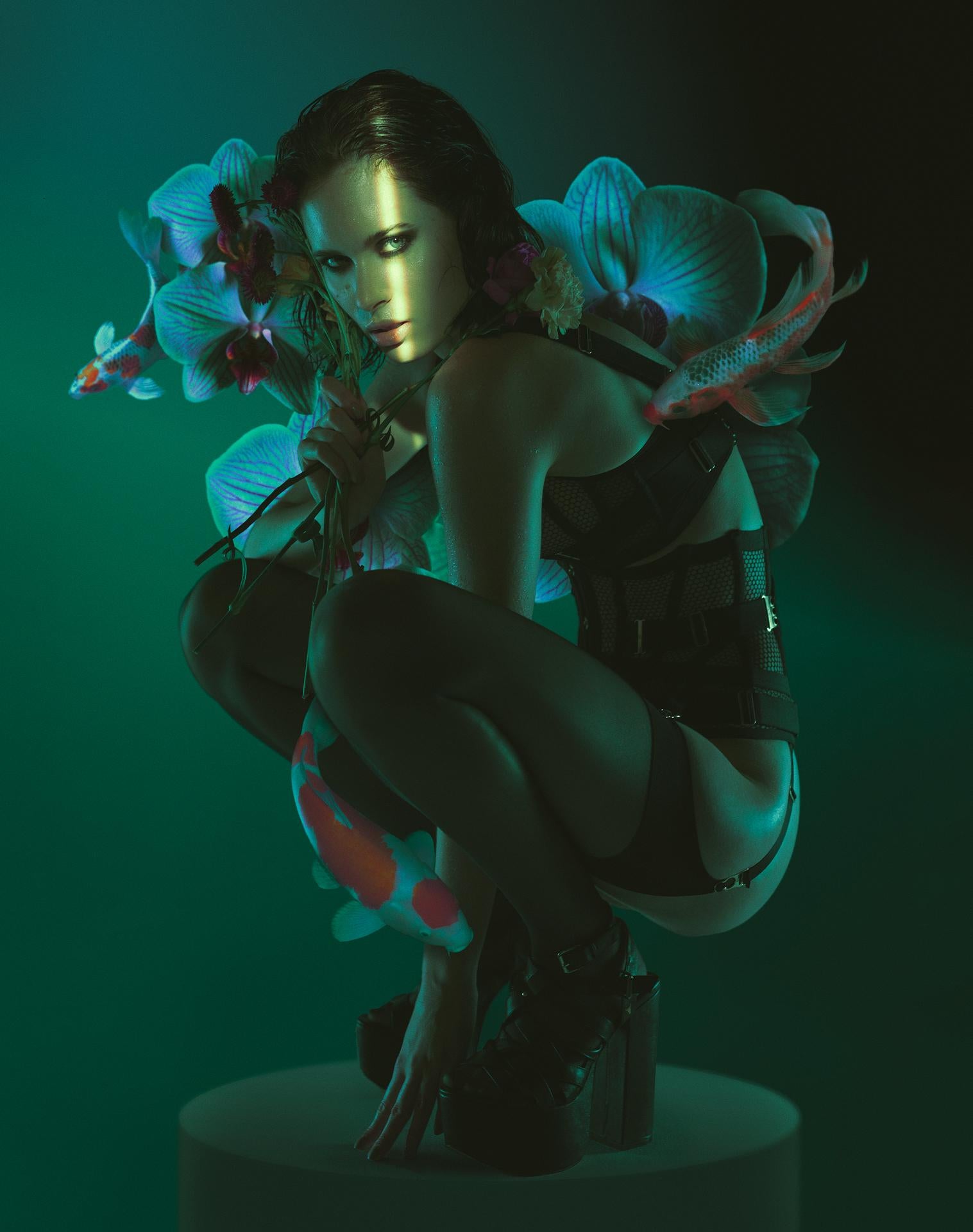"Honey Photography 36" x 28" pouces Édition de 24 par Brian Ziff