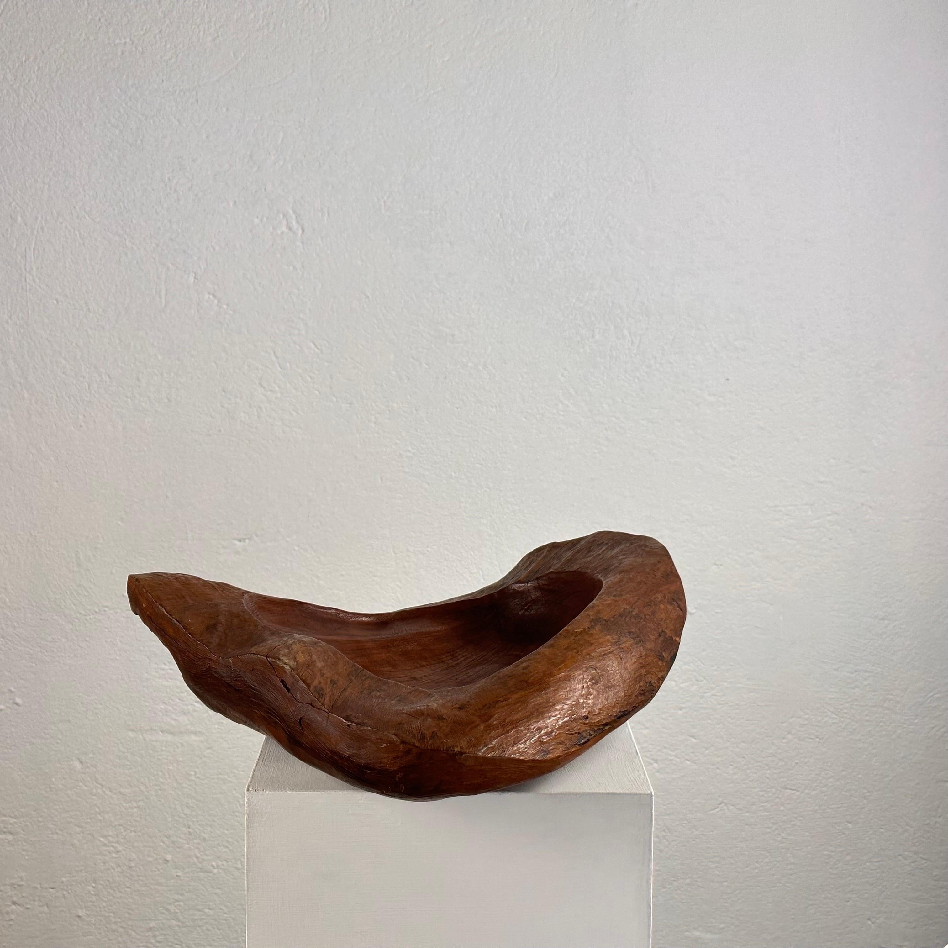 Hand-Carved Briar Wood Live Edge Carved Bowl/Centerpiece, Italy, Unique Piece, 1960s  For Sale