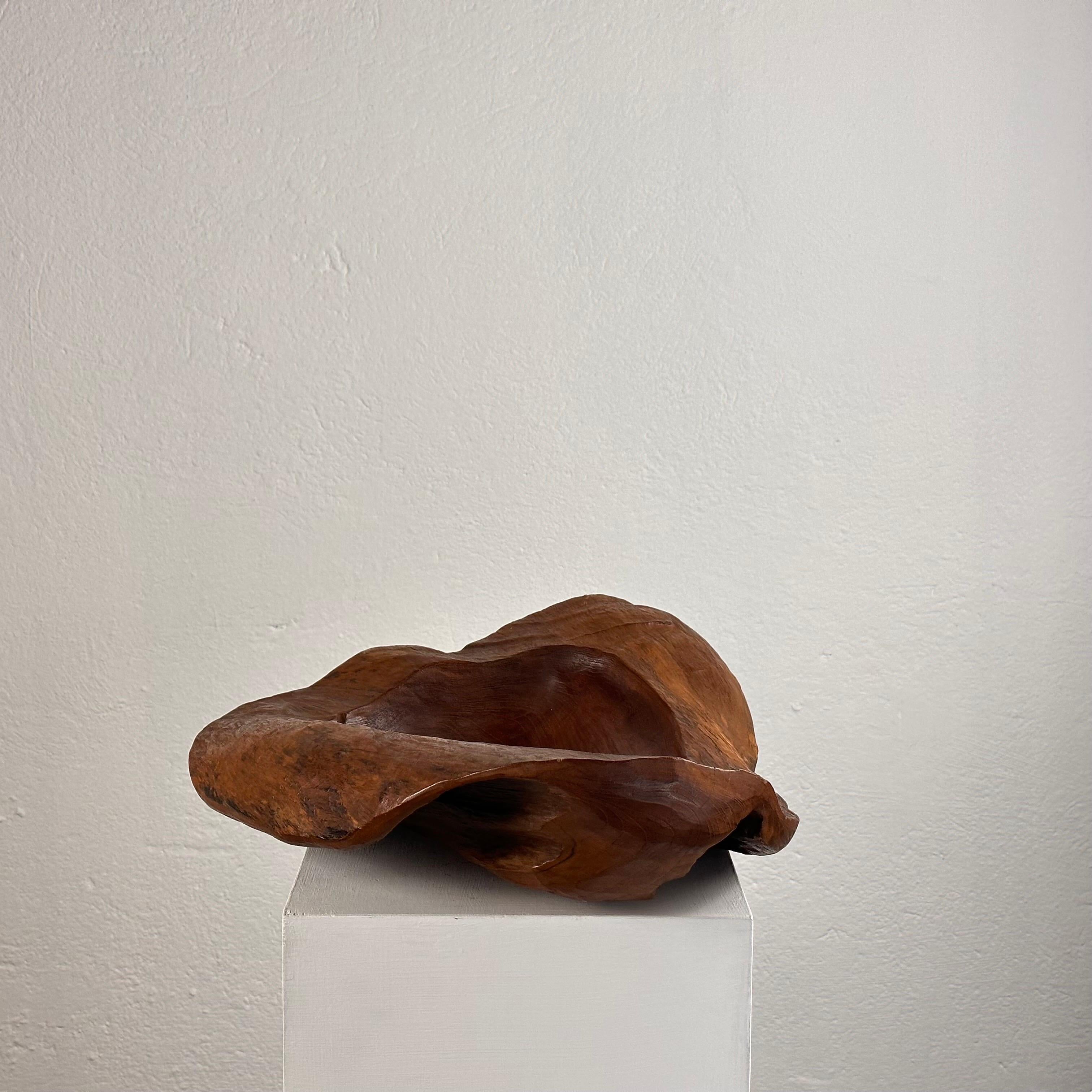 Mid-20th Century Briar Wood Live Edge Carved Bowl/Centerpiece, Italy, Unique Piece, 1960s  For Sale