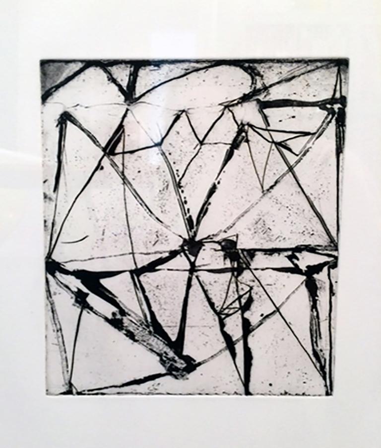 Brice Marden, Etchings to Rexroth #24, 1986, etching and sugarlift aquatint For Sale 2