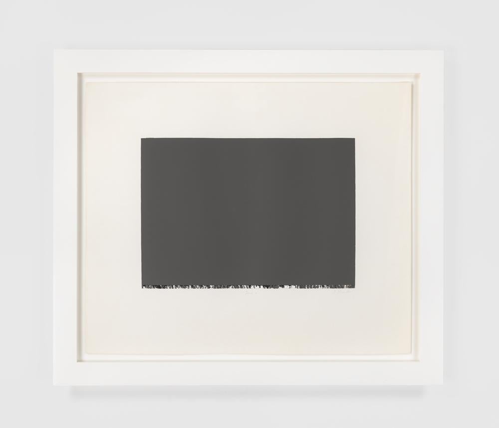 Lana 2 - Print by Brice Marden