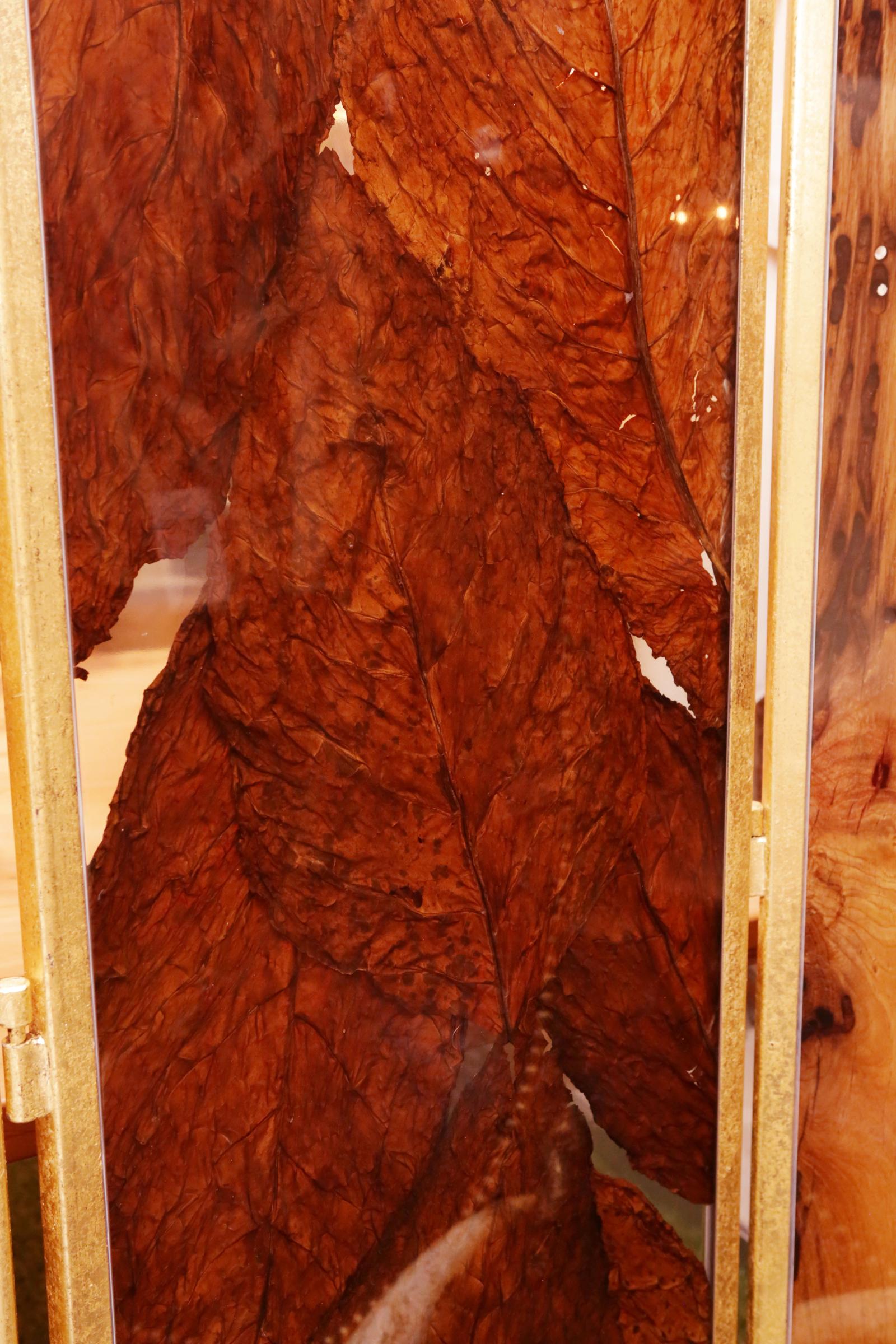 Bricole and Tobacco Leaves with Resin Folding Screen 5 Panels 1