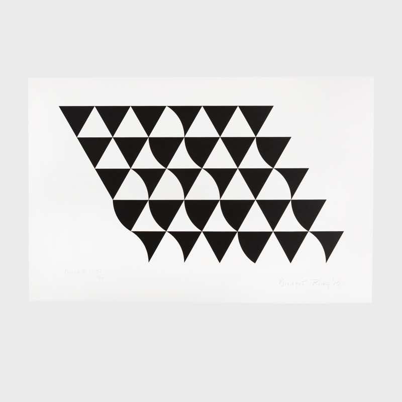 Bridget Riley - Rose Horizontal -- Screen Print, Stripes, Patterns, Op ...