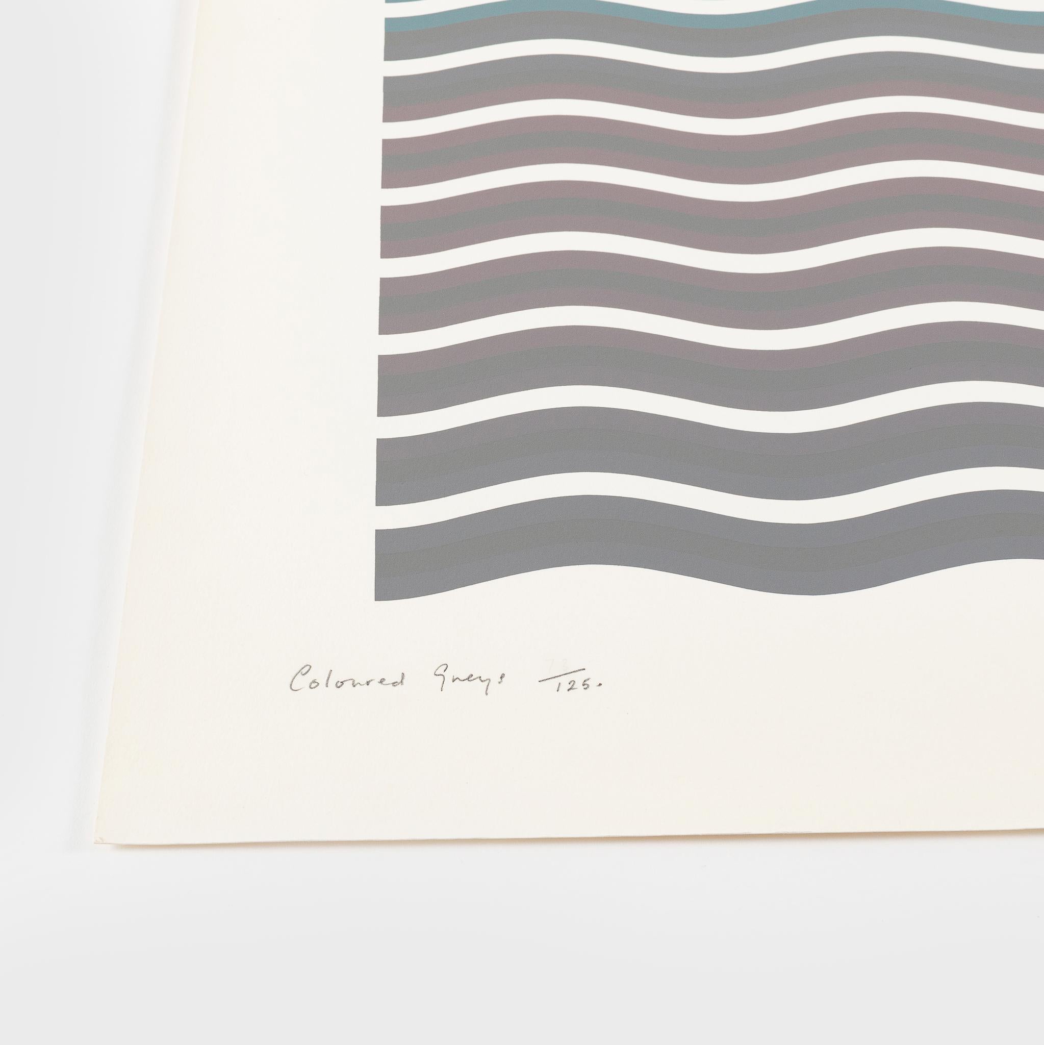 Grises coloreados (2)  Bridget Riley Artista británica, Impresión de motivos abstractos en venta 1