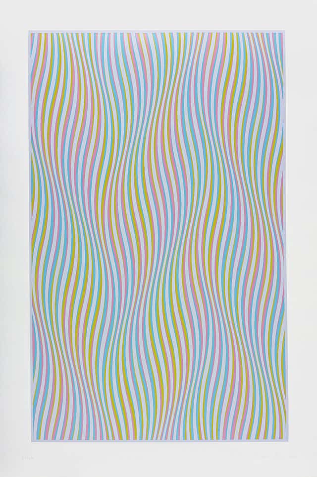 Bridget Riley - Magenta and Yellow For Sale at 1stDibs