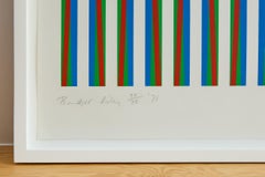 Firebird -- Screen Print, Abstract, Op Art by Bridget RIley