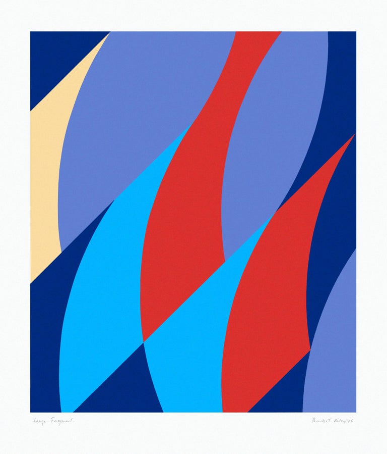 Bridget Riley - Large Fragment at 1stDibs