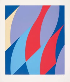 Large Fragment -- Screen Print, Abstract Art, Op Art by Bridget RIley