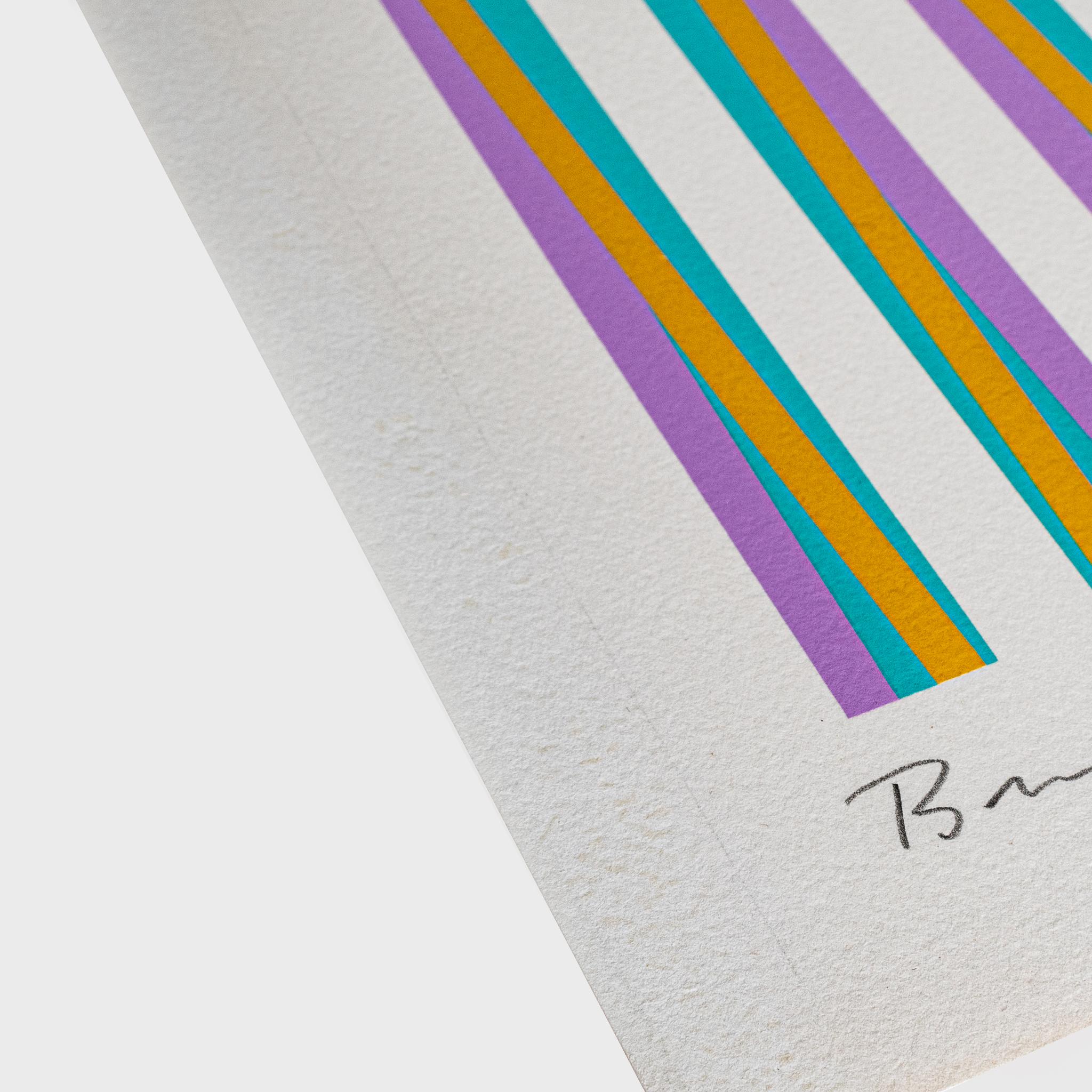 Sérigraphie couleur sur papier vélin blanc
Edition de 150
61 x 46 cm (24 x 18.1 in)
Signé, numéroté et daté au recto. Initiale 