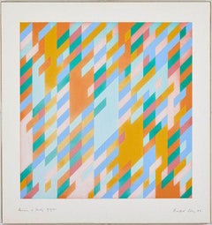 Revision Of Study July 7th By Bridget Riley
